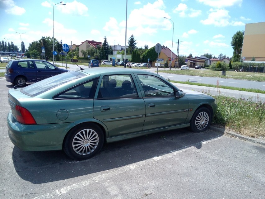 Zabrali wraki i zwolniły się miejsca parkingowe. Akcja Straży Miejskiej w Pabianicach ZDJĘCIA