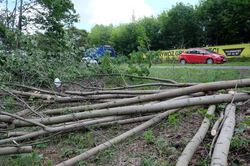 Budowa dróg do spalarni: Wycinają drzewa przy Gdyńskiej