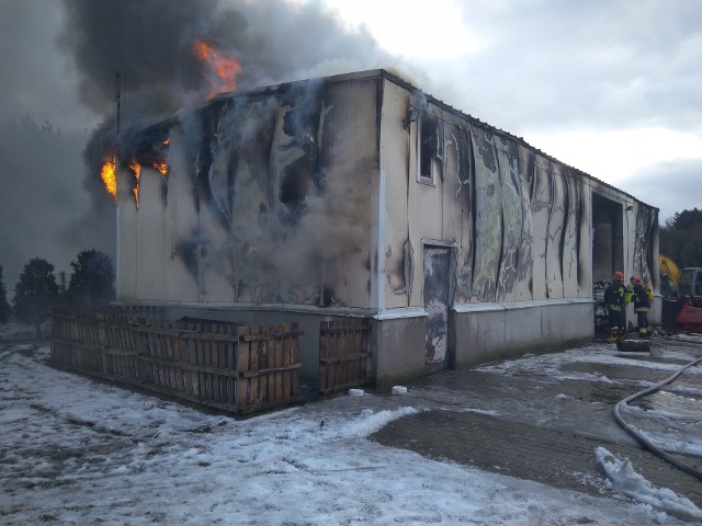 Podczas piątkowej akcji strażaków w Łachowie