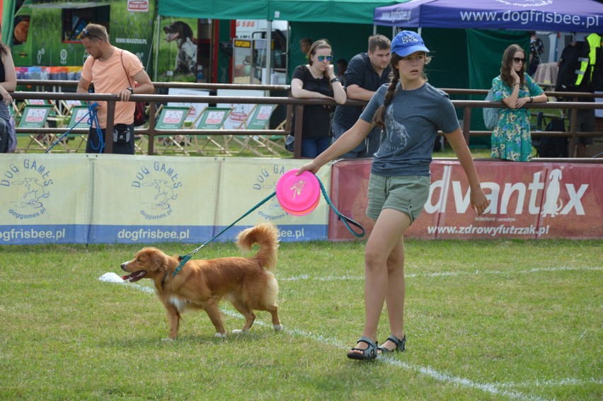 "Latające psy" 2018 w gdyńskim Parku Kolibki, czyli emocjonujące zawody w dogfrisbee