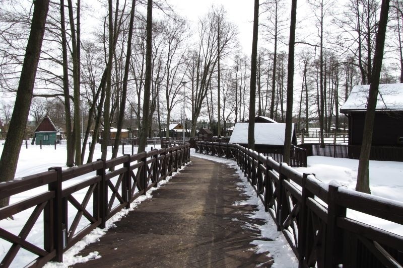 Akcent ZOO w Białymstoku otwarte po remoncie