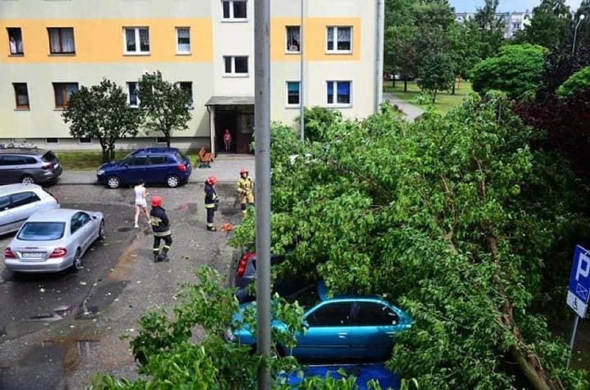 Zniszczenia w parku Złotnickiego...