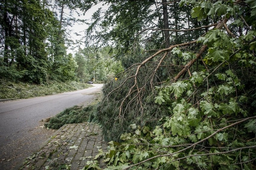 Pomorze po nawałnicy. Tak w niedzielę, 13.08.2017 r....