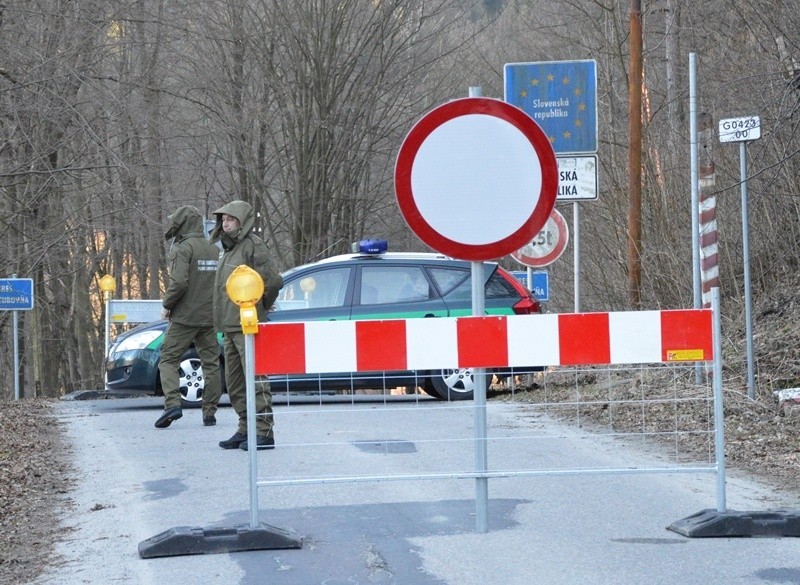 Granicy polsko-słowackiej na Sądecczyźnie strzegą strażnicy i policjanci [ZDJĘCIA]