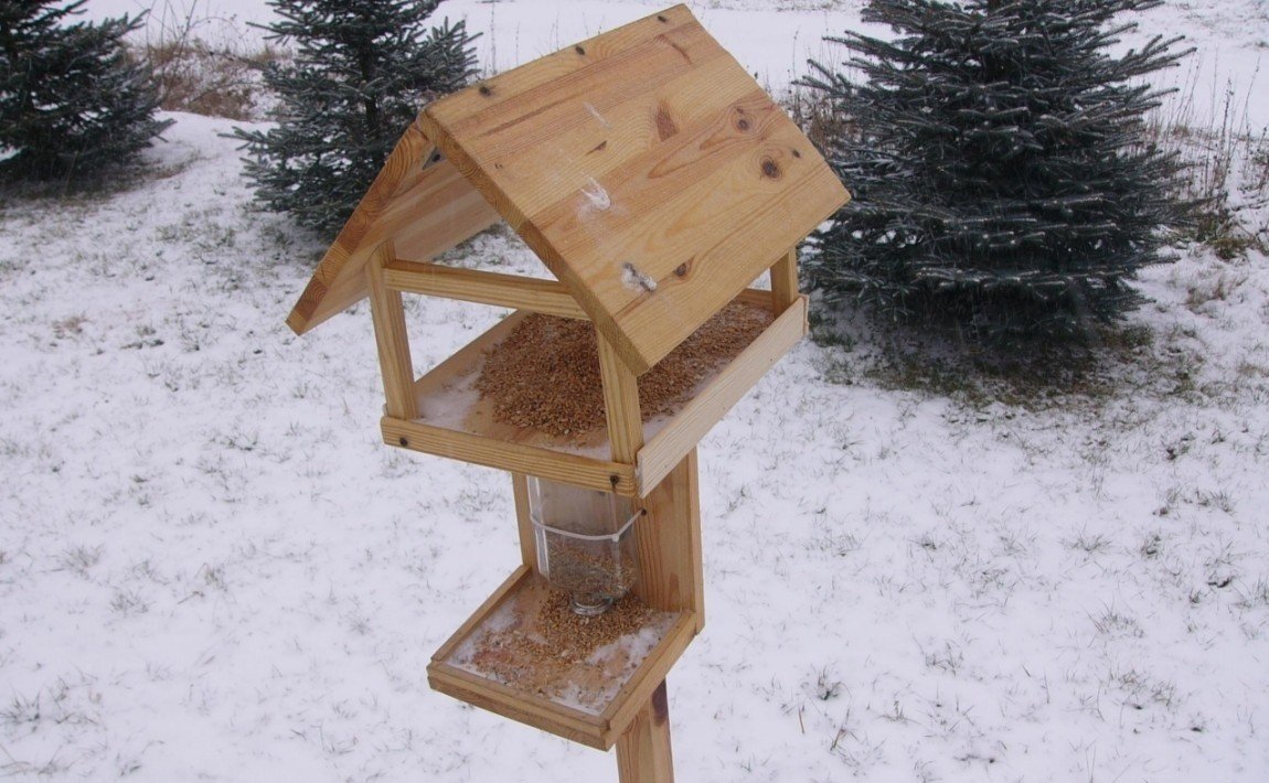 Jak zbudować karmnik dla ptaków | e-Ogródek