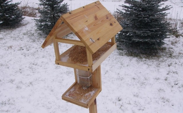 Własnoręcznie zbudowany karmnik ozdobi ogród i przyciągnie do ptaki. A przy tym jego budowa może być świetną zabawą.
