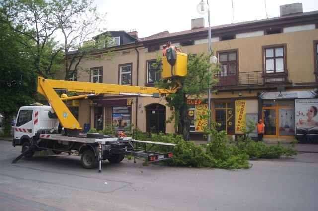 Wielka wycinka drzew w centrum Radomska