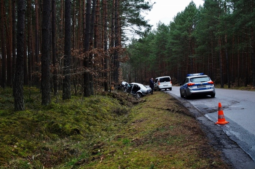 W sobotę (22.02) niedaleko Korzybia około południa doszło do...