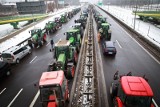 DK 19 odblokowana. Rolnicy ruszają na Warszawę (zdjęcia)