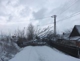 Zima na Sądecczyźnie. Powalone drzewa w Bukowcu, Krużlowej Wyżnej i Kamiannej