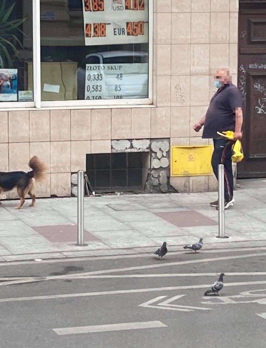 Mężczyzna podejrzany o niszczenie aut w centrum miasta w rękach policji