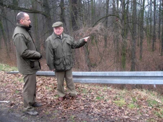 - Wycinka jest konieczna, gdyż drzewa stwarzają zagrożenie dla ruchu drogowego - tłumaczą leśnicy Józef Prałat i Wiesław Daszkiewicz