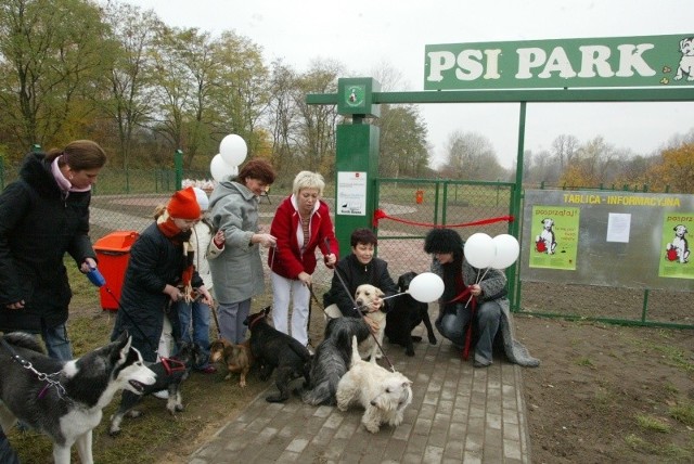 Otwarcie pierwszego psiego parku w Polsce odbyło się w Łodzi.