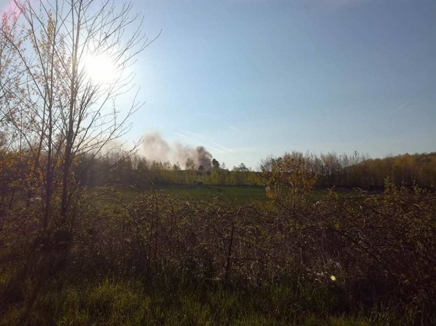 Pożar w Żarowie. Spłonęła fabryka w strefie ekonomicznej [ZDJĘCIA]