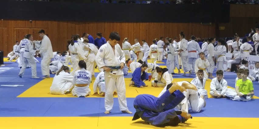 Sukcesy judoków z Kowali, w słowackim Bardejowie