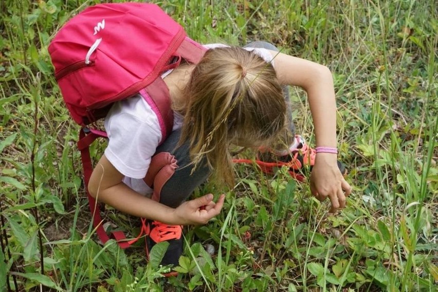 Bioblitz - niezwykłe warsztaty przyrodnicze w gminie Somonino [zdjęcia]