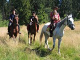 Koziegłowy: Turystyczna ścieżka konna ma połączyć trzy gminy z wielkim szlakiem transjurajskim