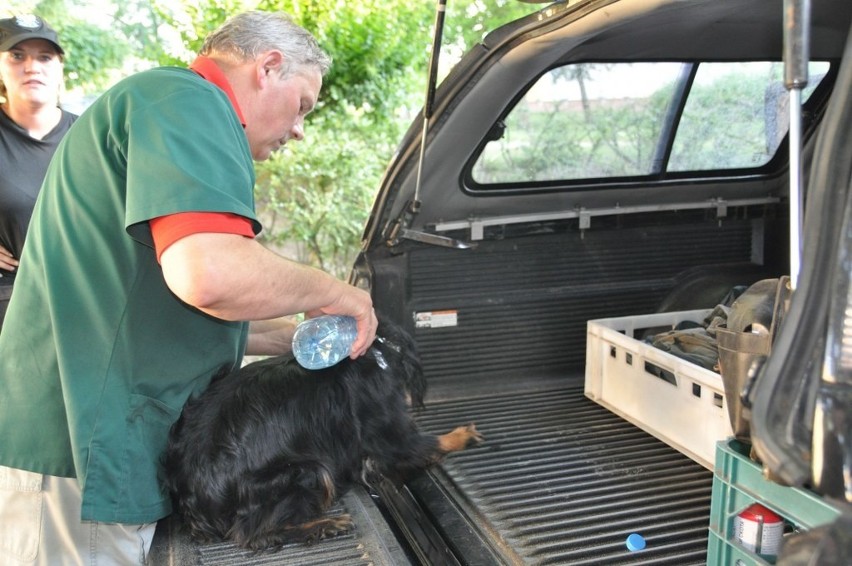 Policjanci ze Szczecinka ratują psa zamkniętego w aucie.