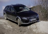 Audi A4 Allroad: Pojedzie nie tylko po szosie