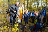 W Zabrzu-Biskupicach uczniowie zasadzili 2000 nowych drzew. Zdjęcia