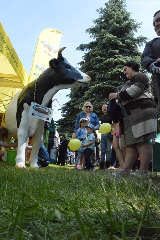 XXIX Targi Rolniczo-Ogrodnicze w Kościerzynie