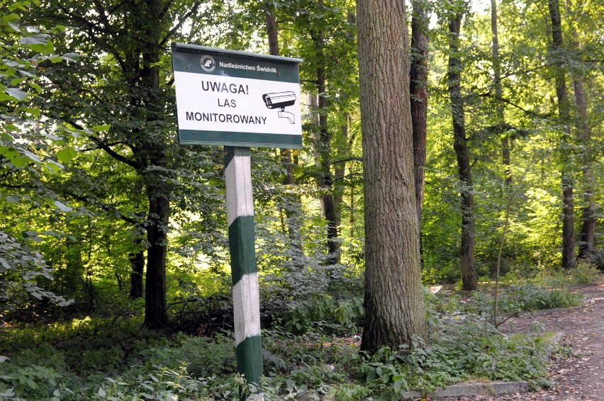 Śmieci w lasach pod Lublinem:  Niewiele się zmieniło po wprowadzeniu ustawy śmieciowej (FOTO)