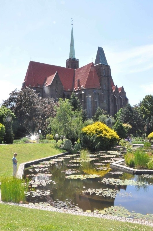 Wroclaw ogród botaniczny