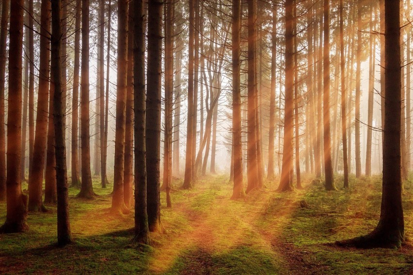 Jak podał Instytut Meteorologii i Gospodarki Wodnej, Europa...