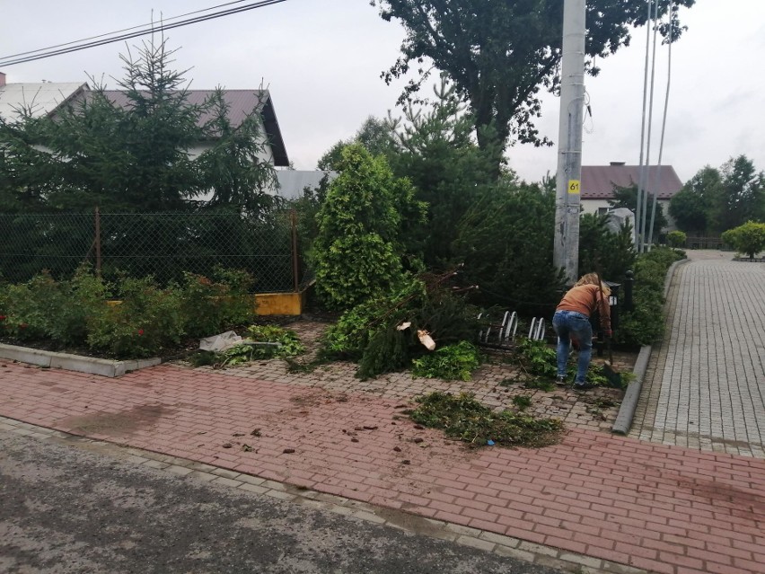 Milionowe straty po trąbie powietrznej pod Tarnowem. Trwa wielkie sprzątanie. Rusza pomoc