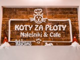 Koty za Płoty - Słupsk. Naleśniki w wielu odsłonach