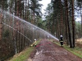 Nowy Targ. Tak szkolili się strażacy z powiatu nowotarskiego w rezerwacie Bór na Czerwonem