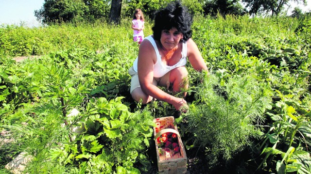 Z powodu prac sezonowych bezrobocie nieco zmalało, ale i tak jest wysokie