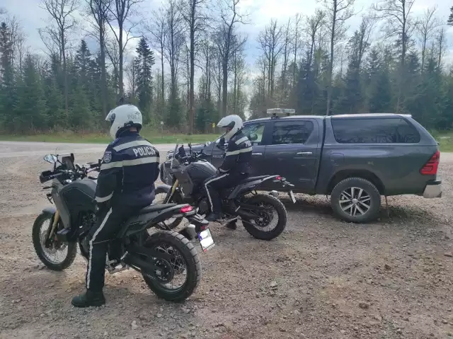 Niedzielne działania "Cross - quad" w staszowskich lasach.