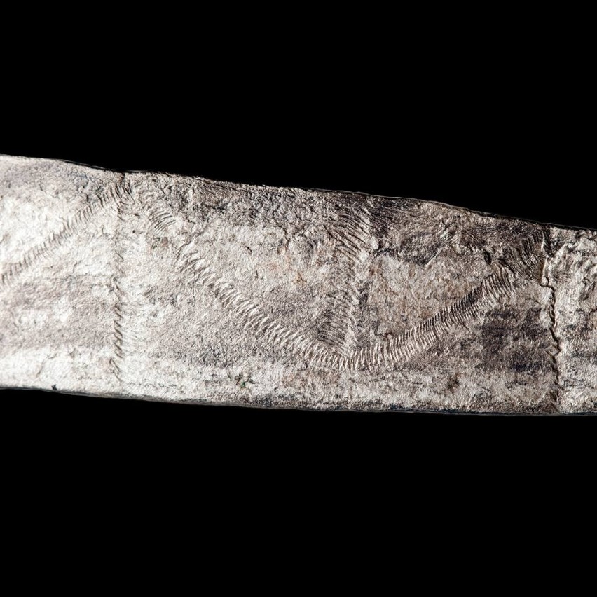  Średniowieczny naszyjnik datowany na koniec XI wieku zabytkiem miesiąca w Muzeum Podlaskim