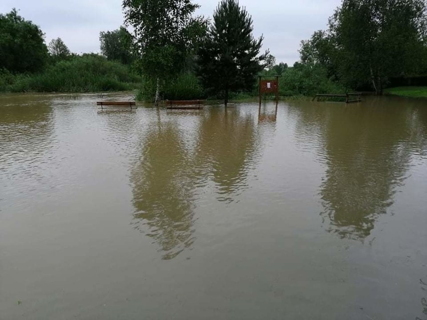 Woda zalała Buszkowice pod Przemyślem i odcięła ludzi od świata [ZDJĘCIA]