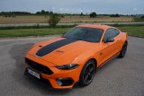 Ford Mustang Mach 1. Na autostradzie potrafi jechać jak ciężarówka. Czym jeszcze zaskakuje? 