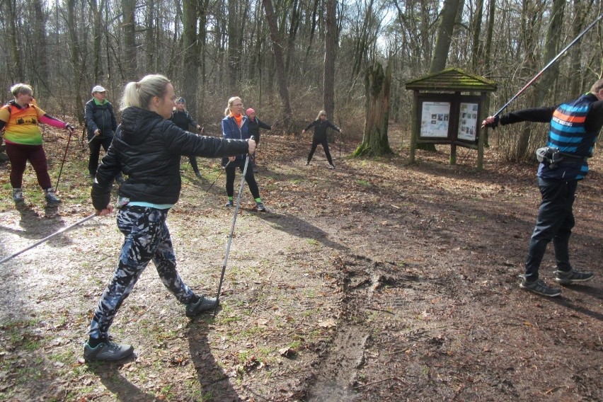 Rekreacja. Marsz nordic walking „Maraton na Raty”  ZDJĘCIA