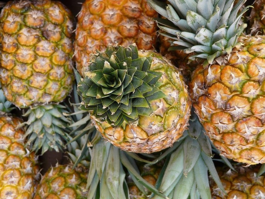 Świeży ananas zawiera w sobie enzym - bromelainę, który...