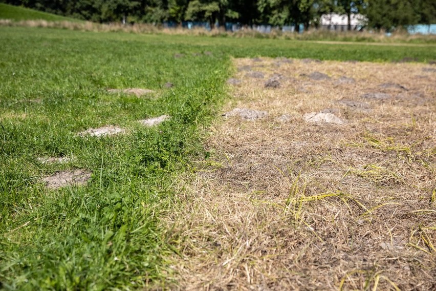 Park Jordana po serii wydarzeń w ramach Krakow Culture...