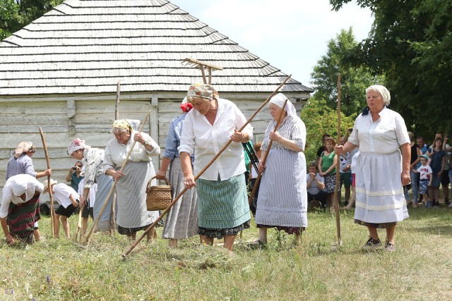 Zespół Obrzędowy „Kowalanki” dał w niedzielę w skansenie w Tokarni pokaz, jak w dawnej polskiej wsi wyglądały sianokosy.