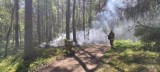 Dwa pożary lasów w powicie bytowskim. Strażacy apelują o rozsądek [ZDJĘCIA]