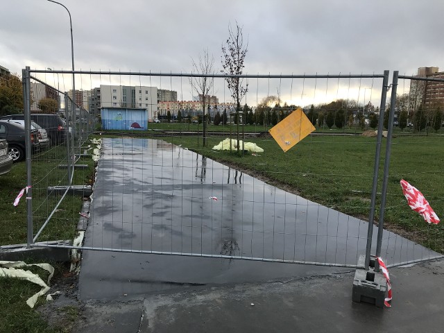 Park obywatelski, czyli Park Witkacego w Słupsku. Teraz to chcą zbudować atrakcję