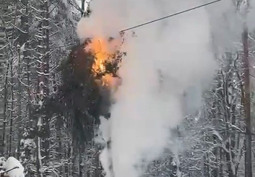 Pożar drzewa przy linii energetycznej pod Opolem.