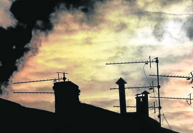 Z miejskich statystyk wynika, że w Toruniu 10 tysięcy mieszkań opalanych jest węglem. Najgorsze powietrze jest na Starówce
