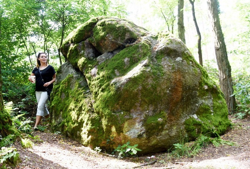 W lesie w pobliżu Łęgowa znajduje się wielki głaz narzutowy....