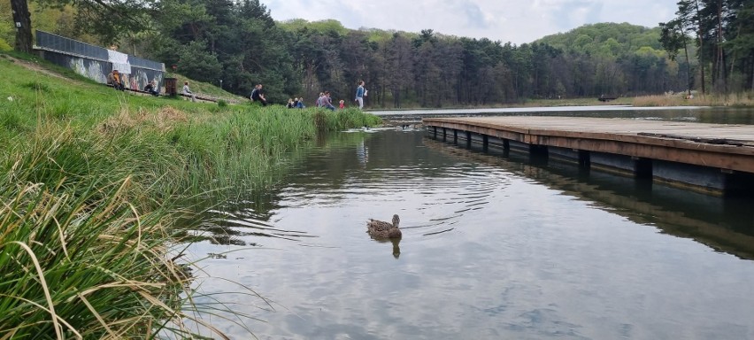 Można zjeść dobrą rybę, a kalorie spalić podczas przyjemnego...