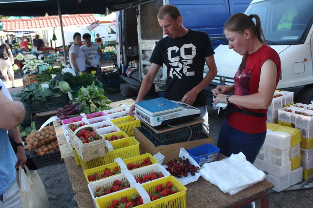 Dość długo truskawki na inowrocławskim targowisku sprzedaje rodzina Żaków z Balina. Niezłe zbiory tych owoców zawdzięczają głównie nawadnianiu plantacji