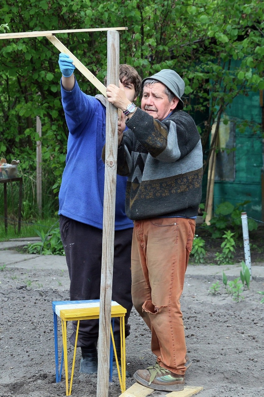 Tak kwitną ogródki działkowe przy al. Unii Lubelskiej w Lublinie. Fotorelacja