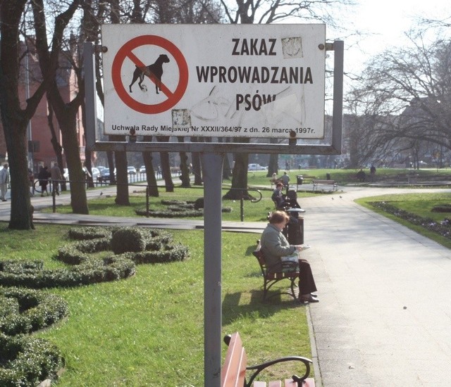 Słupsk, centrum miasta,  park przy al.  Sienkiewicza. 