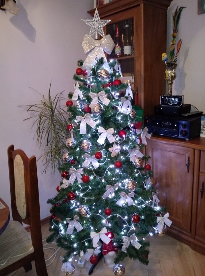 Boże Narodzenie 2019. Jakie choinki stoją w naszych domach? Nasi Czytelnicy przysłali zdjęcia swoich choinek [galeria zdjęć]